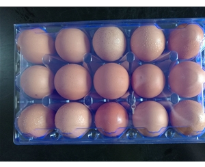 铜陵鸡蛋包装1